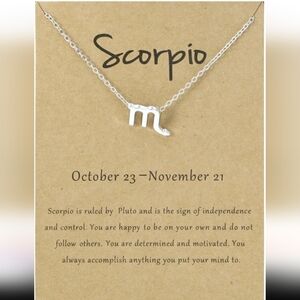 Silver Scorpio Zodiac Necklace